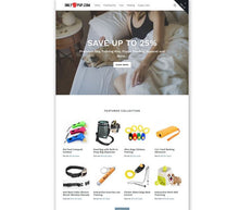Fully Set Up Custom Shopify Store